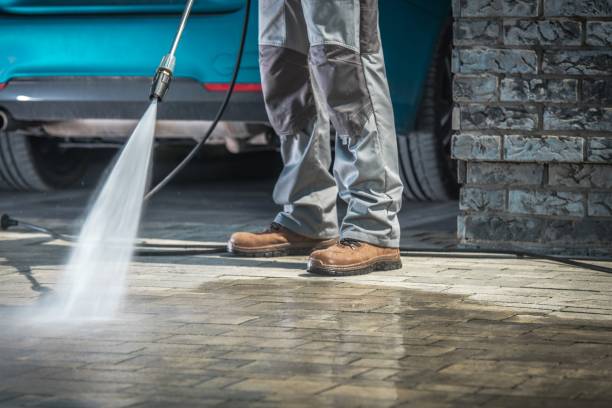 Best Spring Cleaning  in Pittston, PA